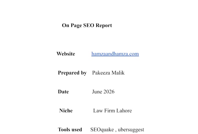 professional SEO  audit report